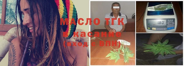гидра Абаза