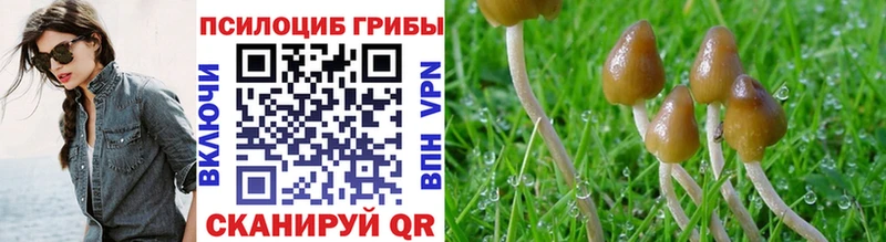наркошоп  Вилюйск  Галлюциногенные грибы ЛСД 